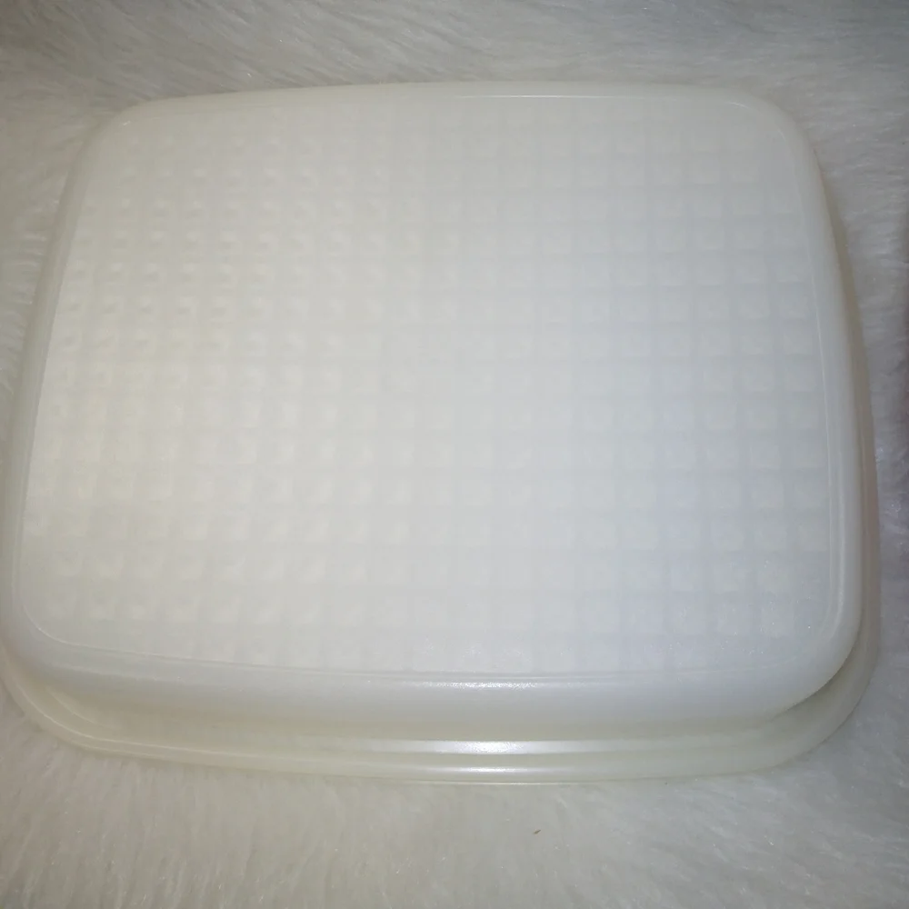 TUPPERWARE Large Season Serve Meat Marinator Container